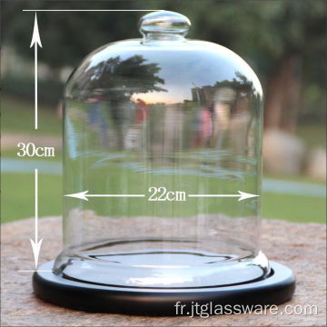 Cloche cloche en verre D22 * H 30 cm pour affichage